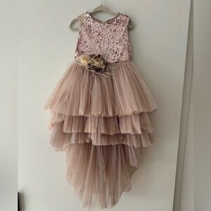 Hi-lo Tutu Dress Tulle Sequin tutu dress/ Tutu Dress Blush Pink 3T